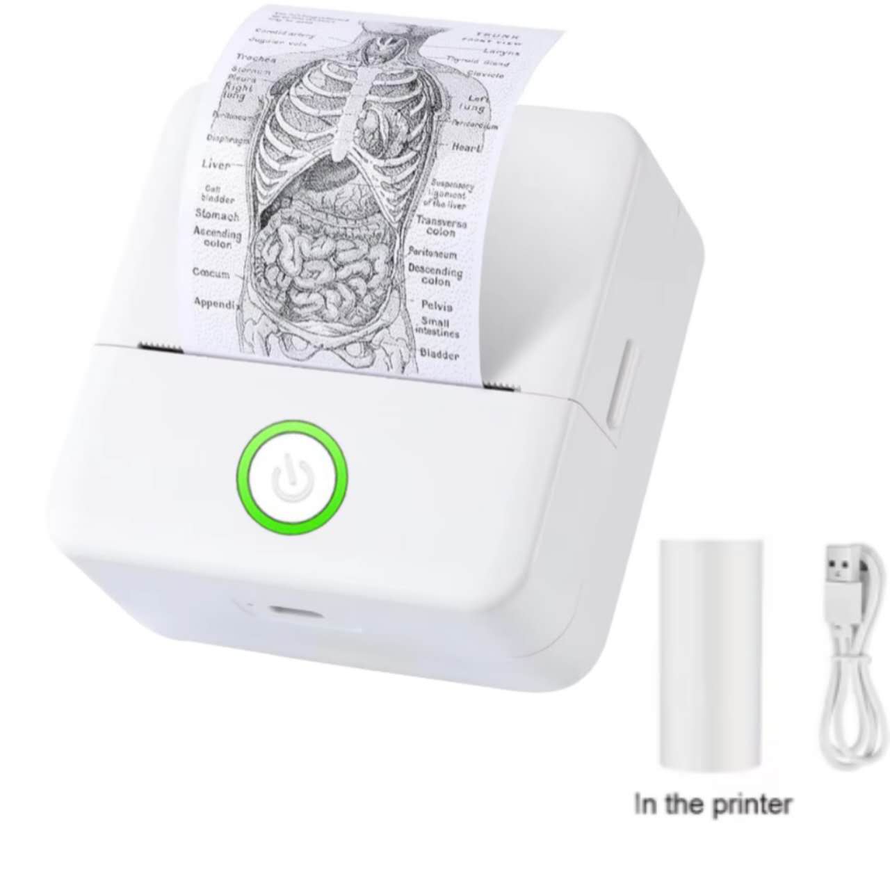 PocketPal Inkless Printer
