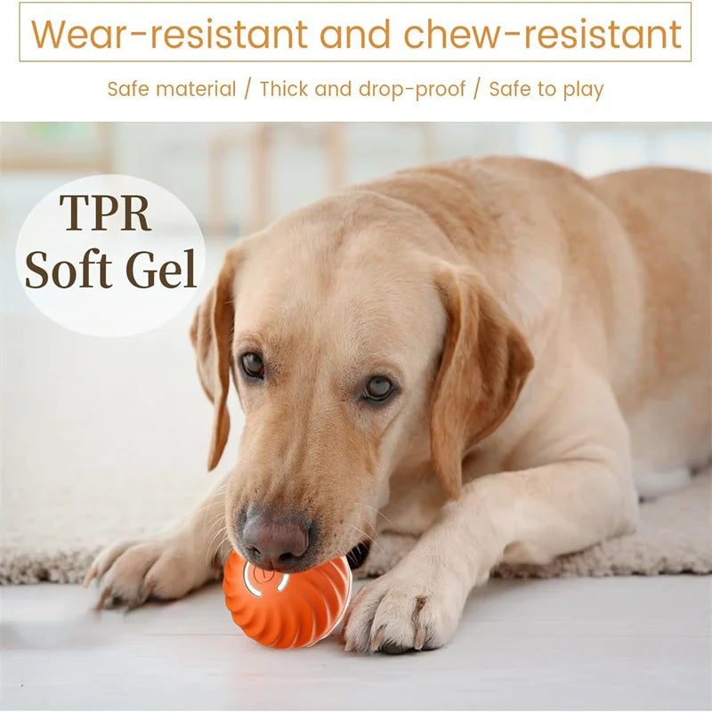 Interactive Bouncing Pet Toy Ball