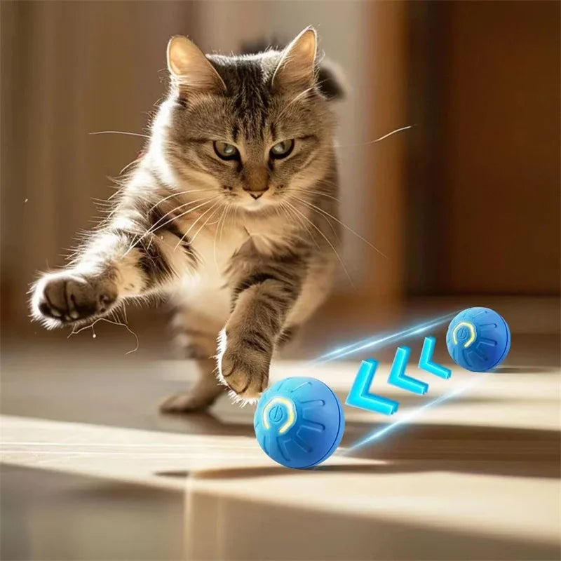 Interactive Bouncing Pet Toy Ball